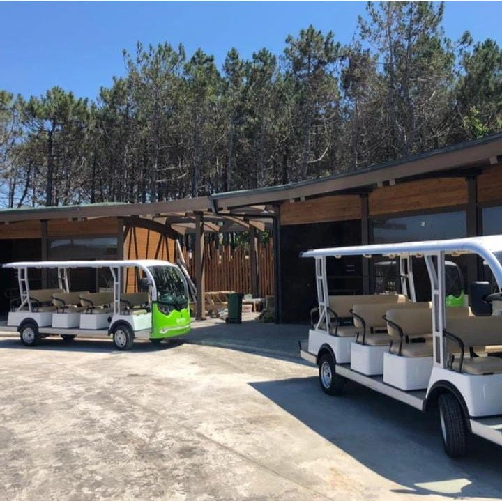 Plaj içi ulaşım golf car